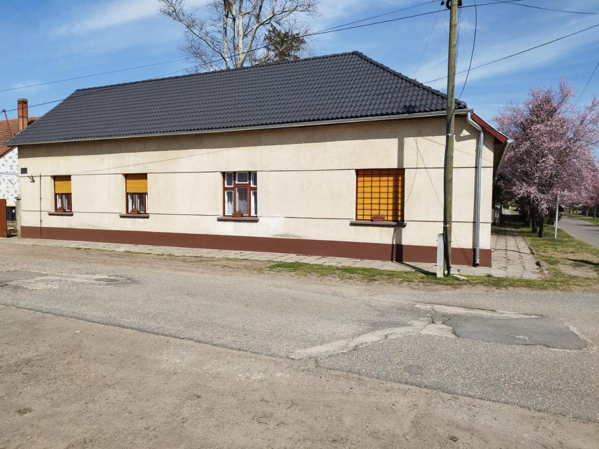 Tartós Szegfű Vendégház, Magánszállás Tazlar Exterior foto