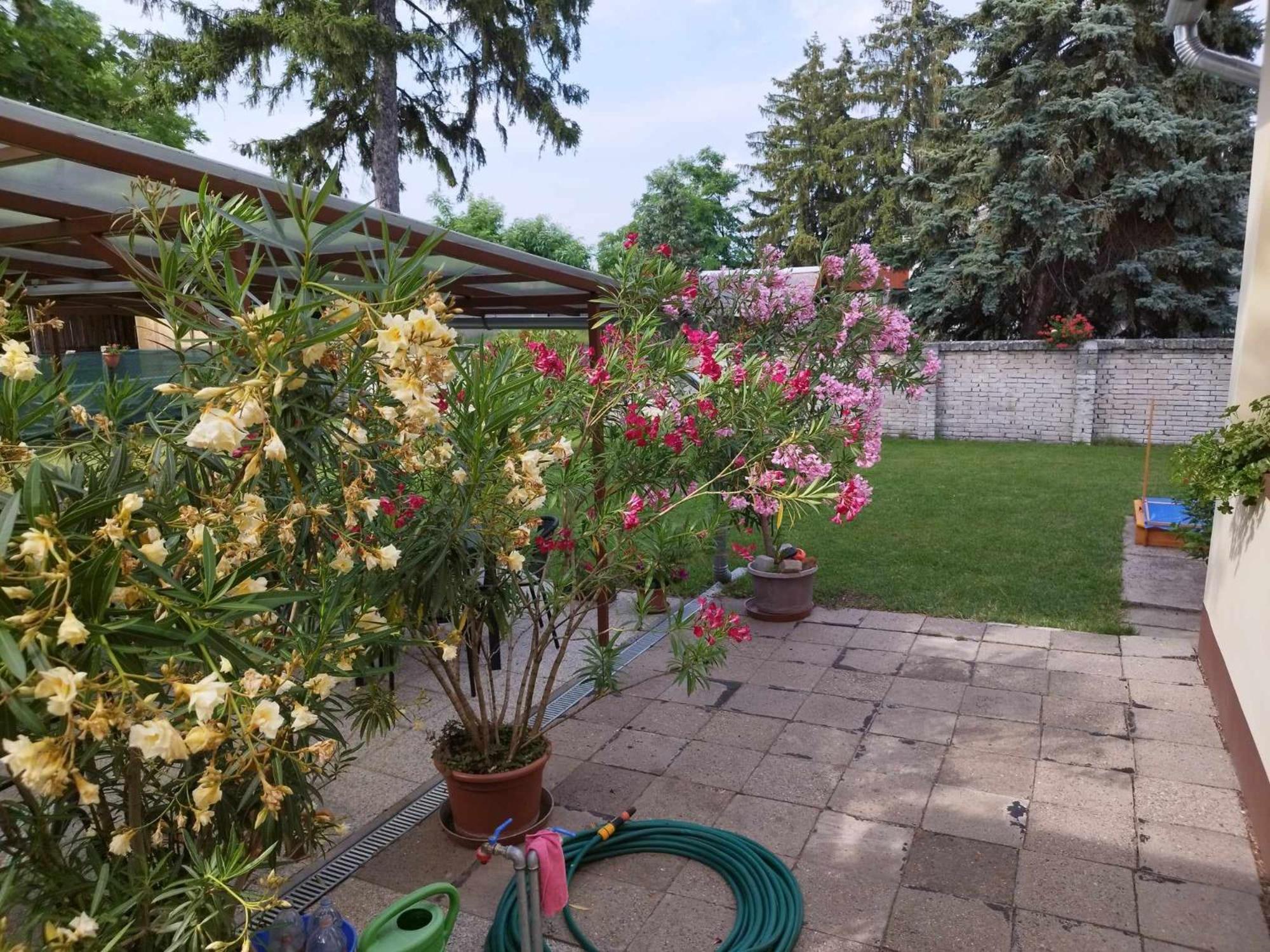Tartós Szegfű Vendégház, Magánszállás Tazlar Exterior foto