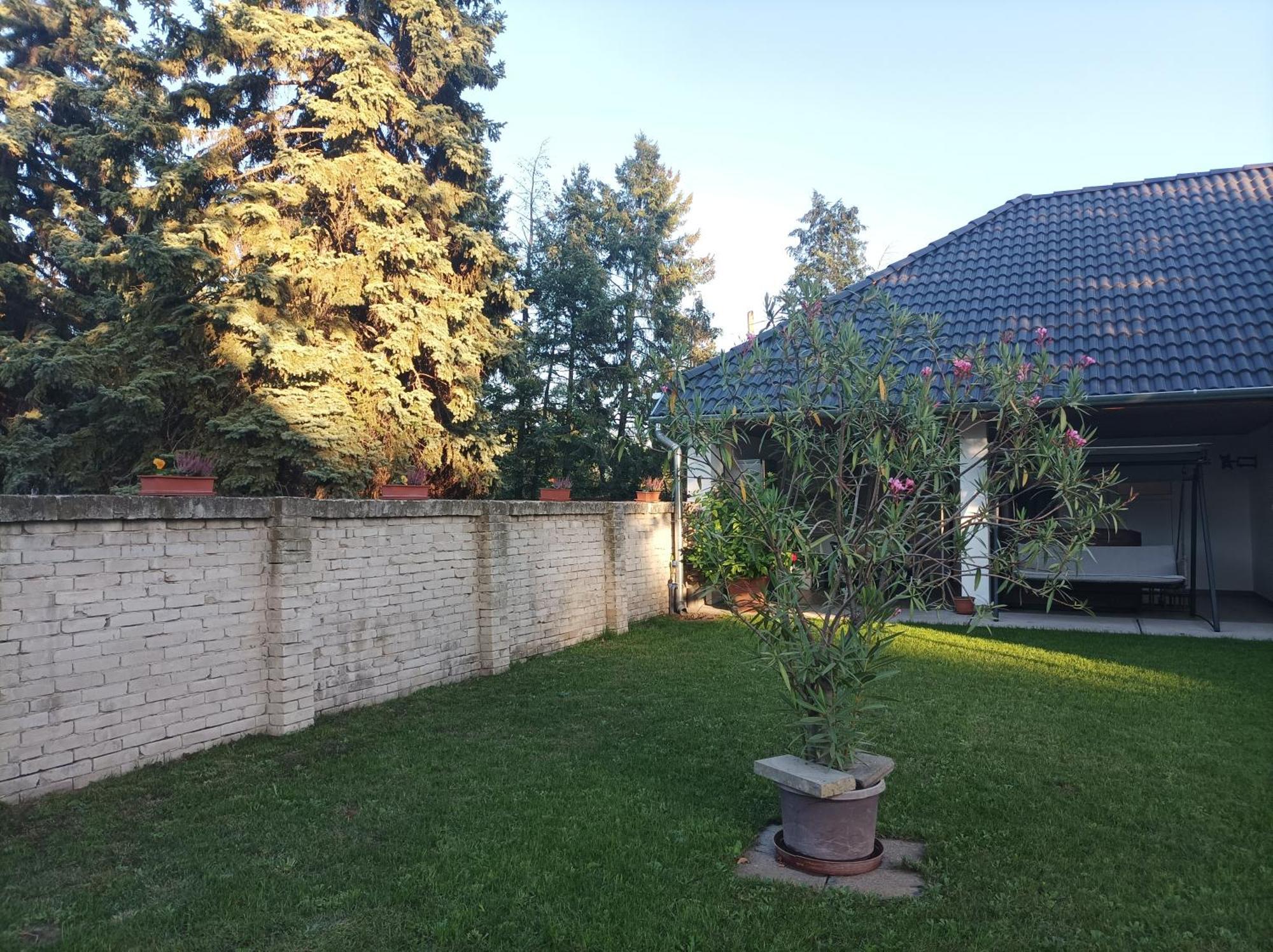 Tartós Szegfű Vendégház, Magánszállás Tazlar Exterior foto